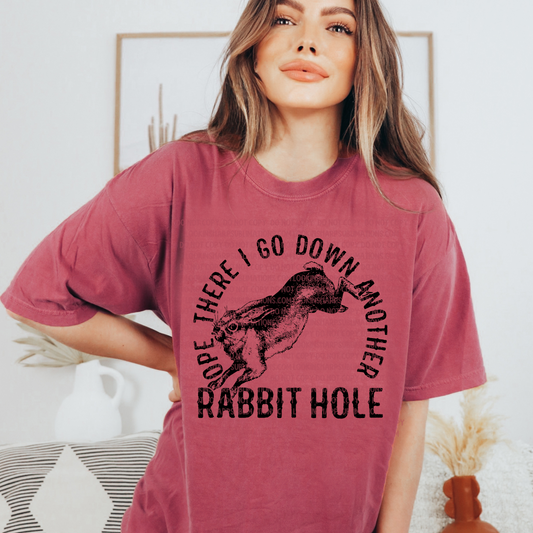 CLEARANCE There I Go Down Another Rabbit Hole LOW HEAT Screen Print - RTS